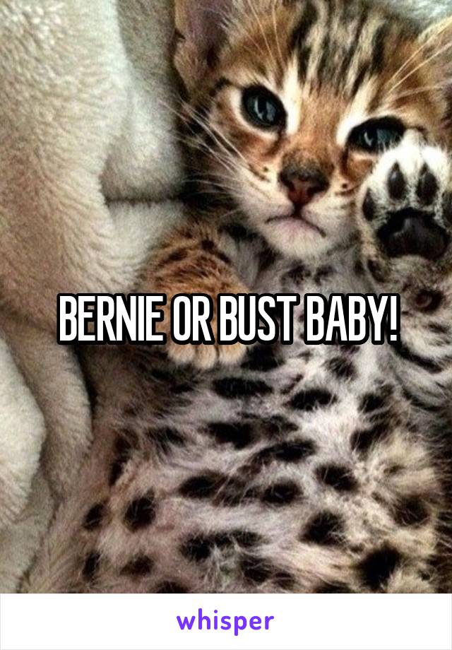 BERNIE OR BUST BABY!