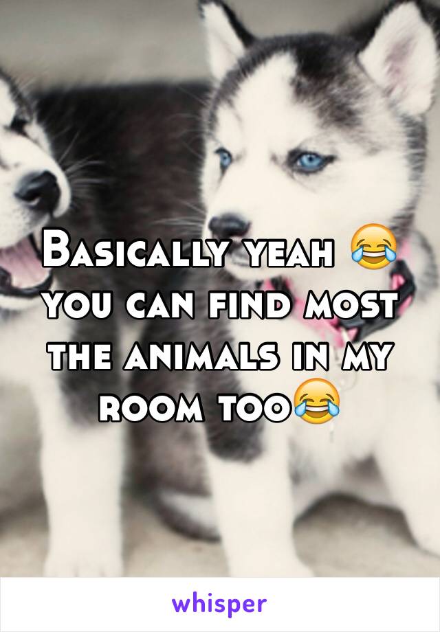 Basically yeah 😂 you can find most the animals in my room too😂