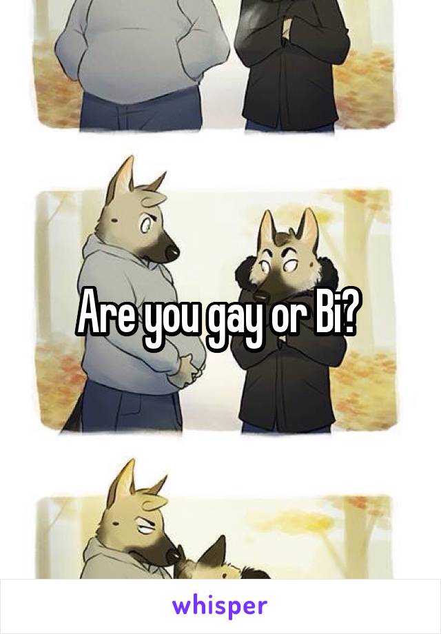 Are you gay or Bi? 