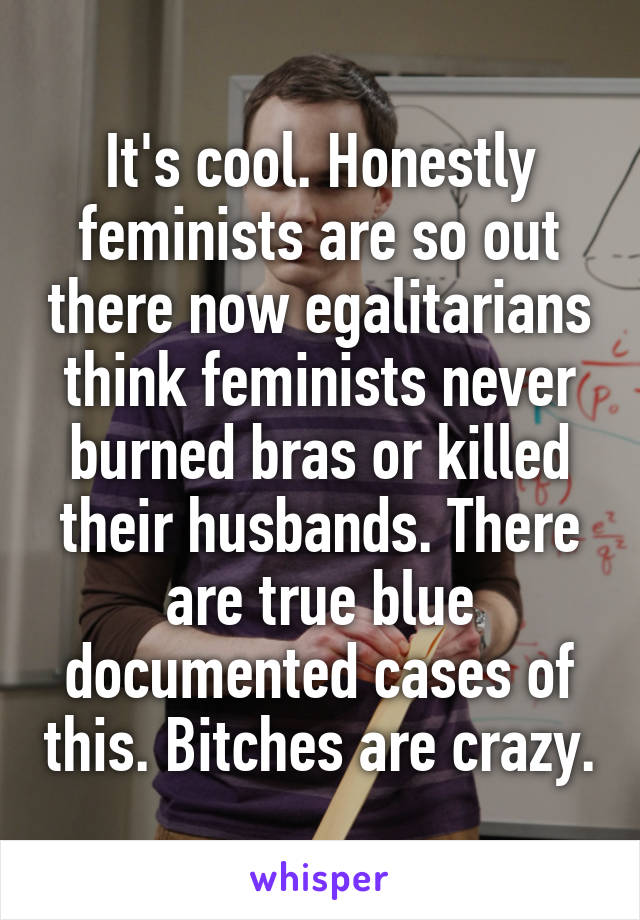 It's cool. Honestly feminists are so out there now egalitarians think feminists never burned bras or killed their husbands. There are true blue documented cases of this. Bitches are crazy.