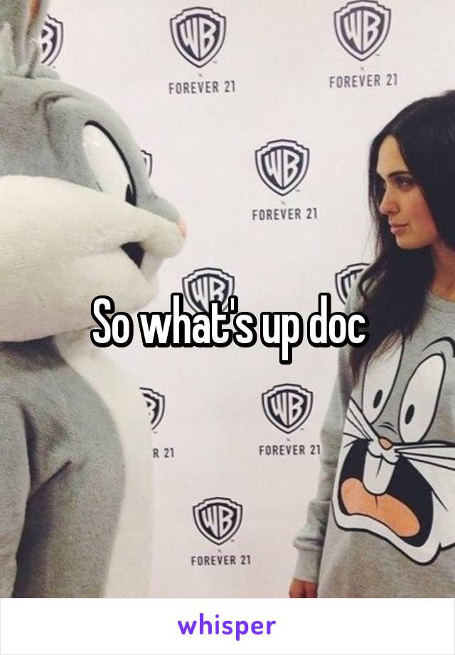 So what's up doc