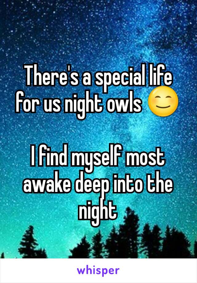 There's a special life for us night owls 😊

I find myself most awake deep into the night