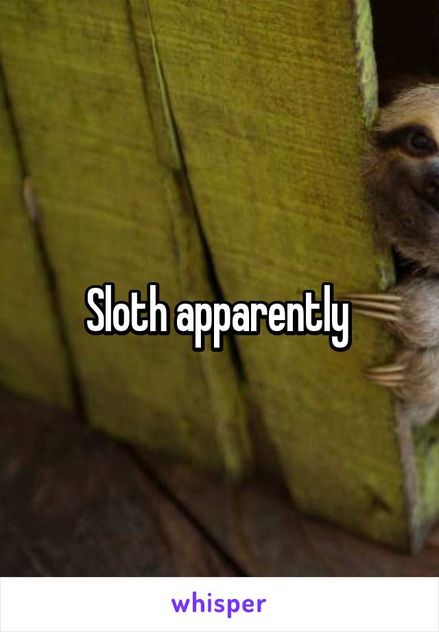 Sloth apparently 