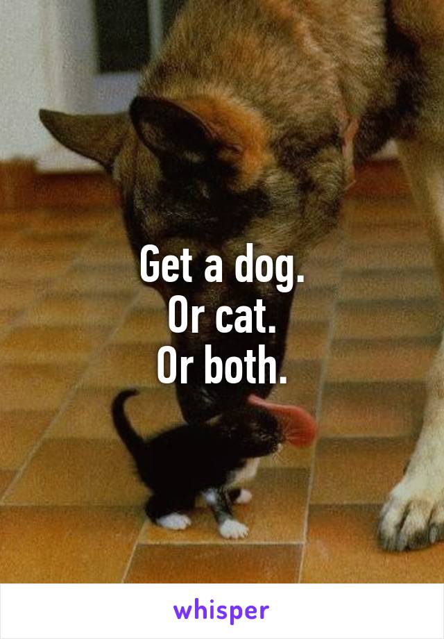 Get a dog.
Or cat.
Or both.