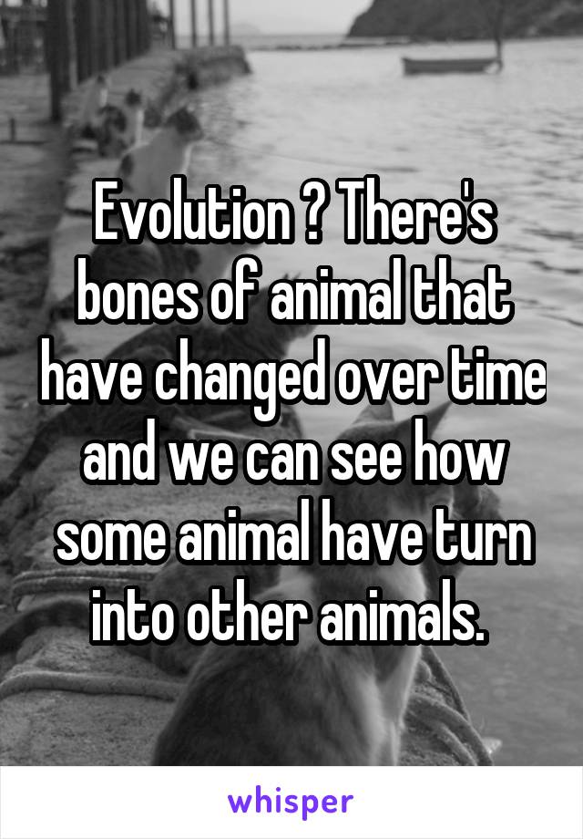 Evolution ? There's bones of animal that have changed over time and we can see how some animal have turn into other animals. 