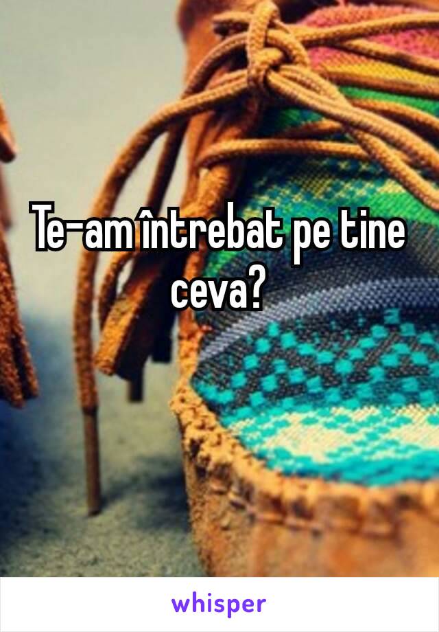 Te-am întrebat pe tine ceva?

