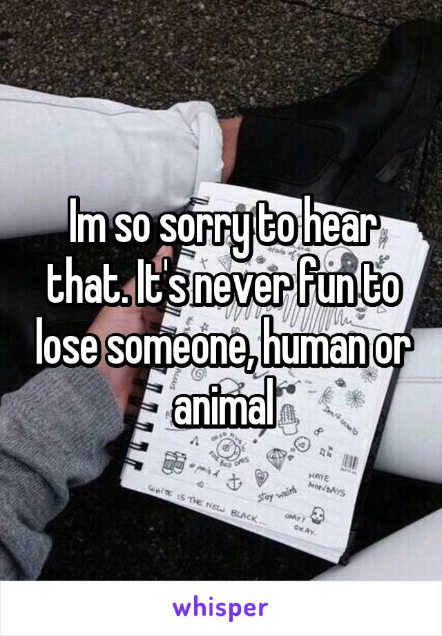 Im so sorry to hear that. It's never fun to lose someone, human or animal