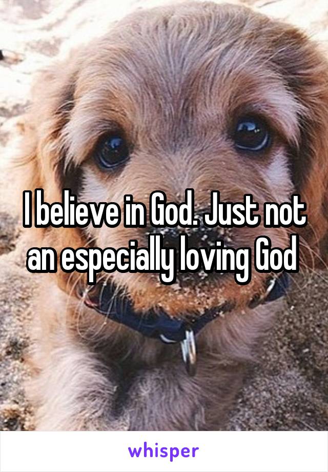 I believe in God. Just not an especially loving God 