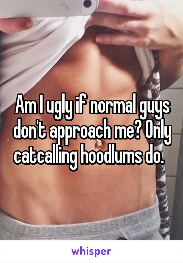 Am I ugly if normal guys don't approach me? Only catcalling hoodlums do.  