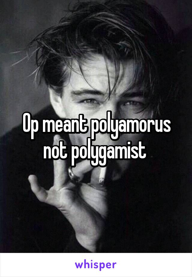 Op meant polyamorus not polygamist 