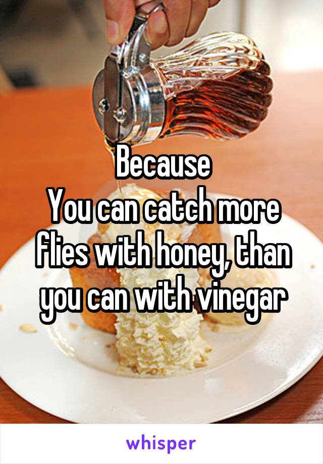 Because
You can catch more flies with honey, than you can with vinegar