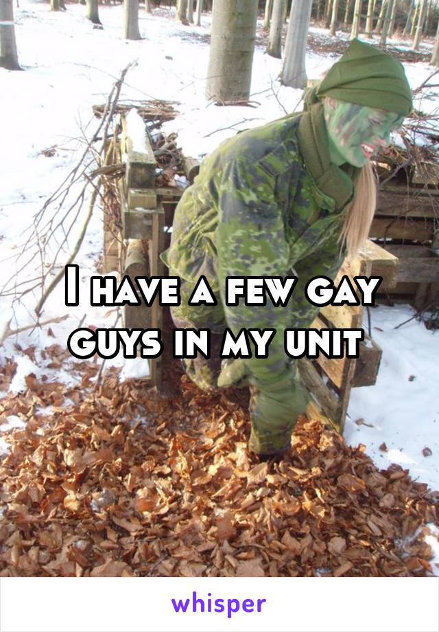 I have a few gay guys in my unit 