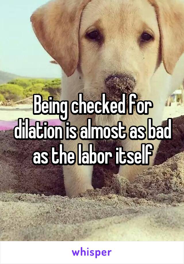 Being checked for dilation is almost as bad as the labor itself