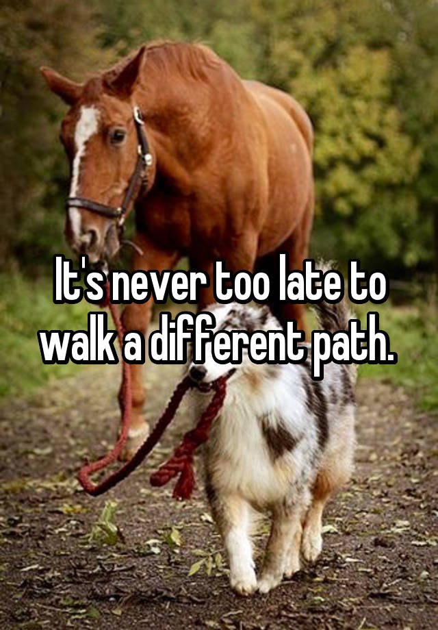 it-s-never-too-late-to-walk-a-different-path