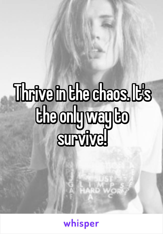 Thrive in the chaos. It's the only way to survive!