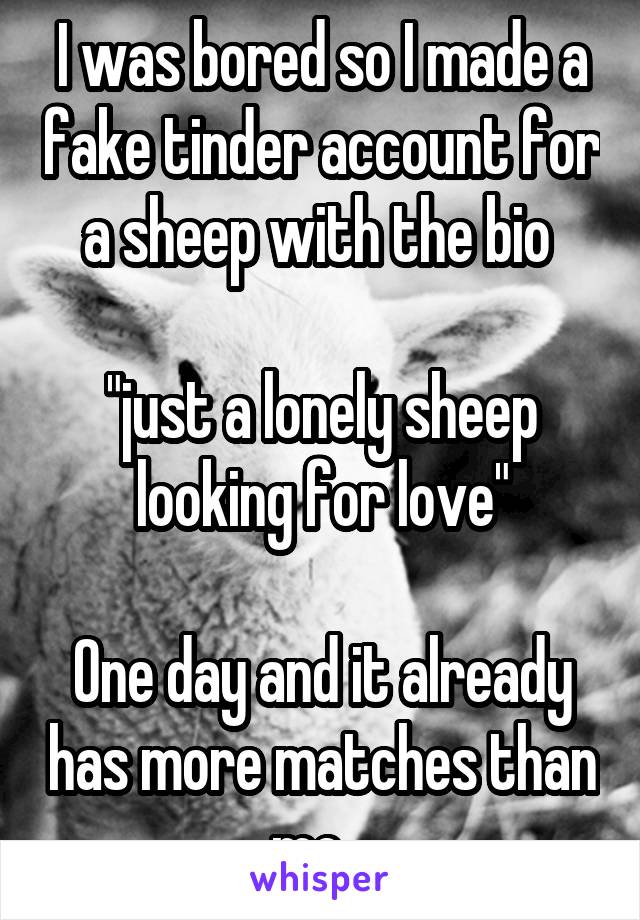 I was bored so I made a fake tinder account for a sheep with the bio 

"just a lonely sheep looking for love"

One day and it already has more matches than me...