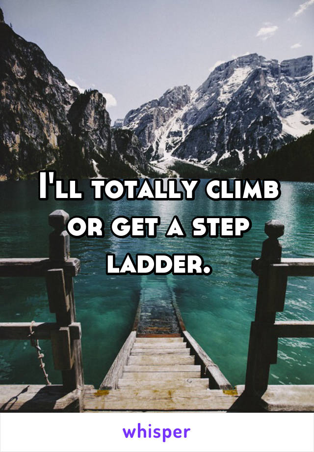 I'll totally climb or get a step ladder.