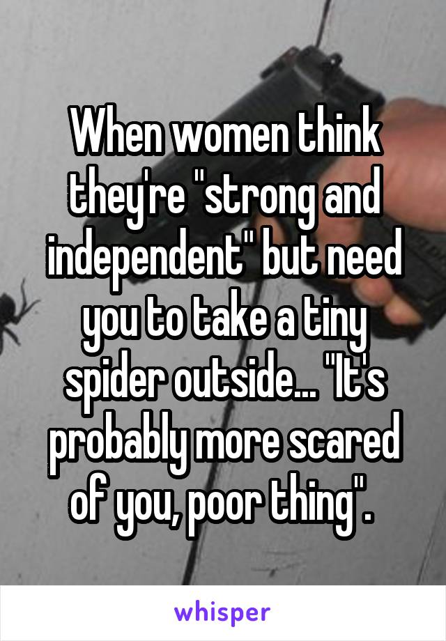 When women think they're "strong and independent" but need you to take a tiny spider outside... "It's probably more scared of you, poor thing". 