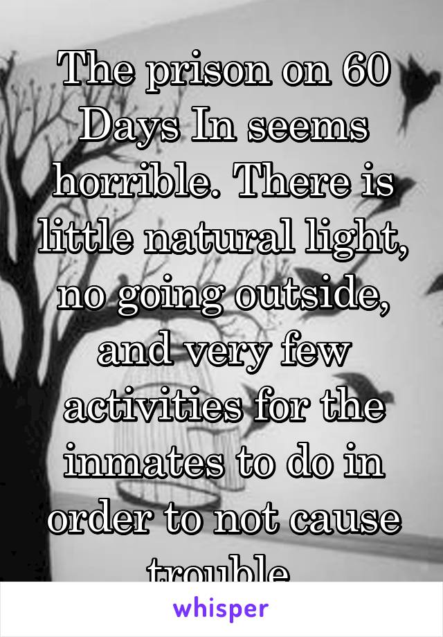 The prison on 60 Days In seems horrible. There is little natural light, no going outside, and very few activities for the inmates to do in order to not cause trouble.