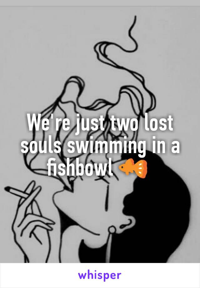 We're just two lost souls swimming in a fishbowl 🐠 