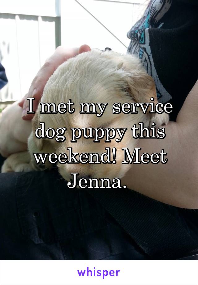 I met my service dog puppy this weekend! Meet Jenna. 