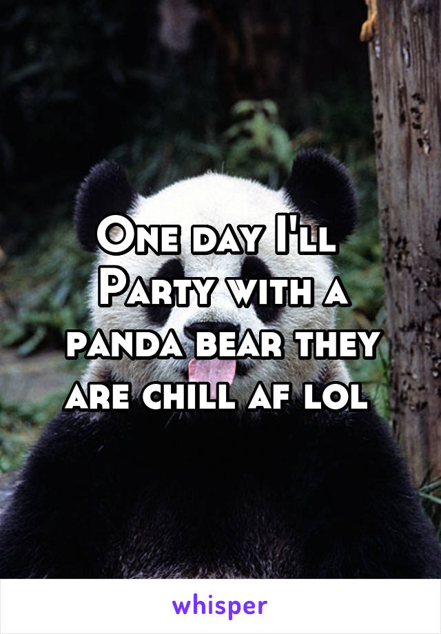 One day I'll 
Party with a panda bear they are chill af lol 