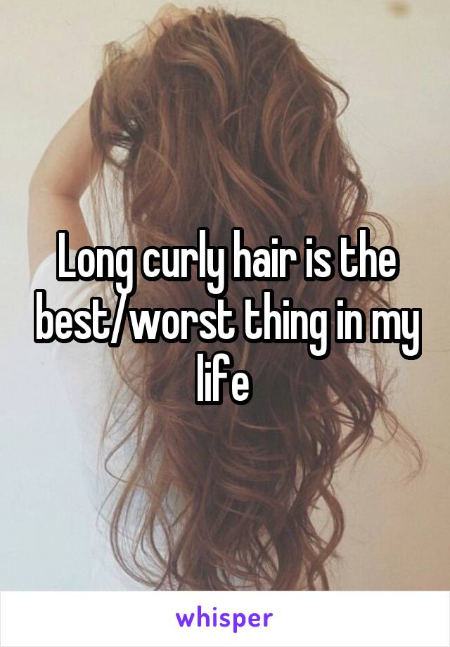 Long curly hair is the best/worst thing in my life 