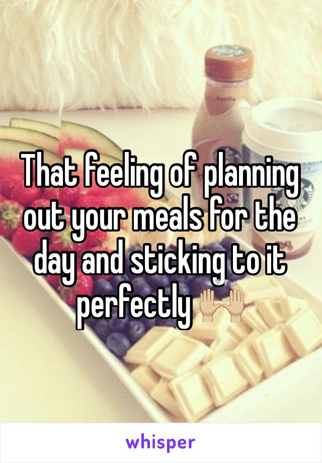 That feeling of planning out your meals for the day and sticking to it perfectly 🙌🏼