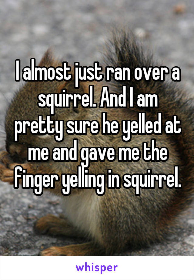 I almost just ran over a squirrel. And I am pretty sure he yelled at me and gave me the finger yelling in squirrel. 