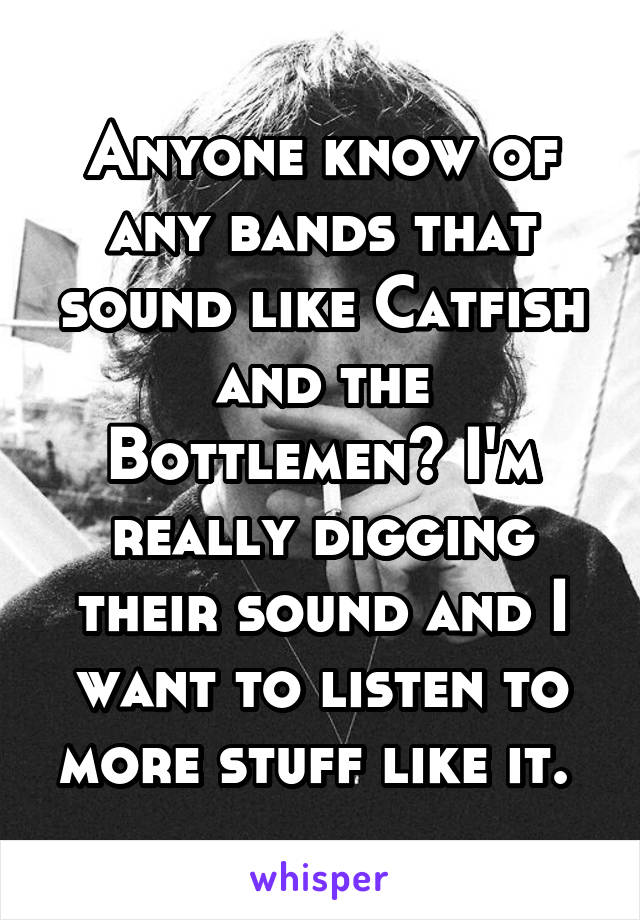 Anyone know of any bands that sound like Catfish and the Bottlemen? I'm really digging their sound and I want to listen to more stuff like it. 