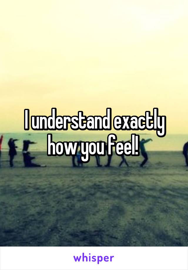 I understand exactly how you feel! 