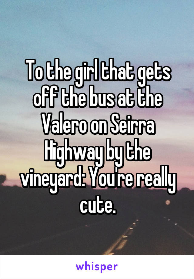 To the girl that gets off the bus at the Valero on Seirra Highway by the vineyard: You're really cute.