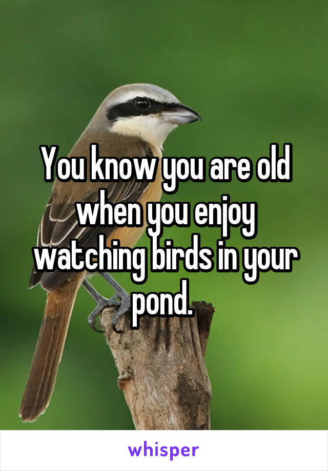 You know you are old when you enjoy watching birds in your pond. 