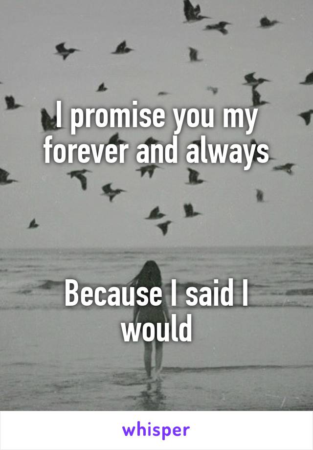 I promise you my forever and always



Because I said I would