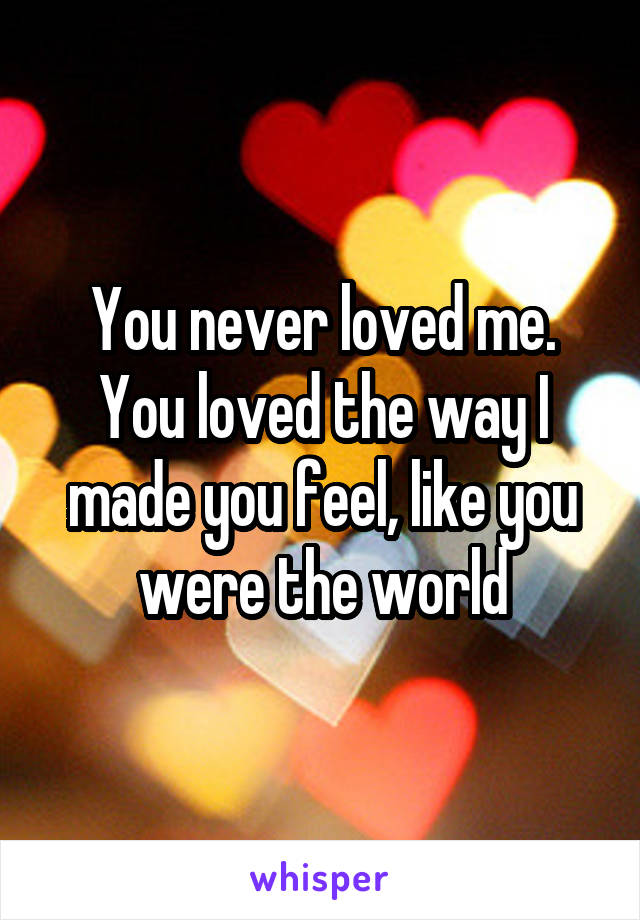 You never loved me. You loved the way I made you feel, like you were the world