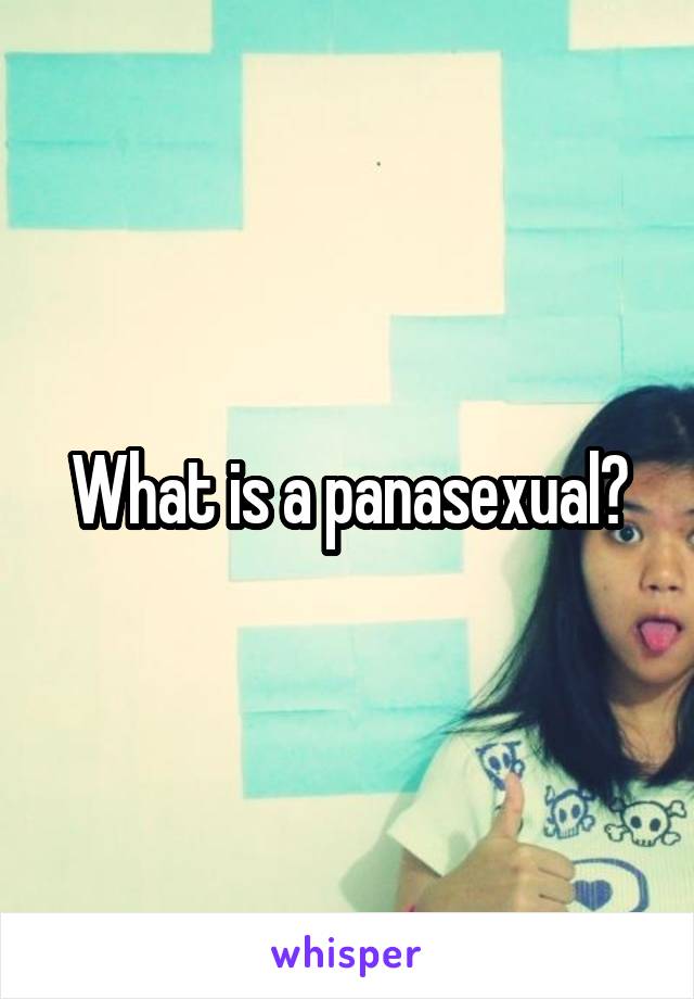 What is a panasexual?