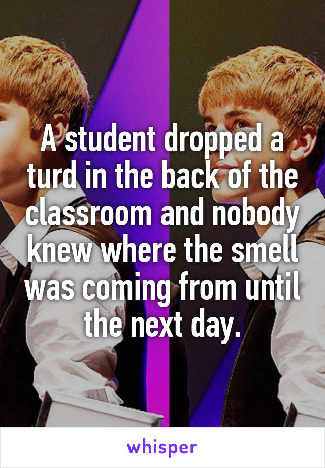 A student dropped a turd in the back of the classroom and nobody knew where the smell was coming from until the next day.
