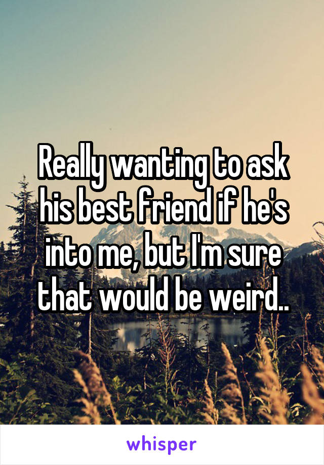 Really wanting to ask his best friend if he's into me, but I'm sure that would be weird..