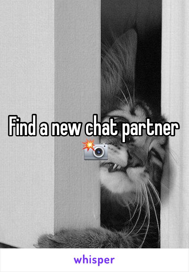 Find a new chat partner 📸