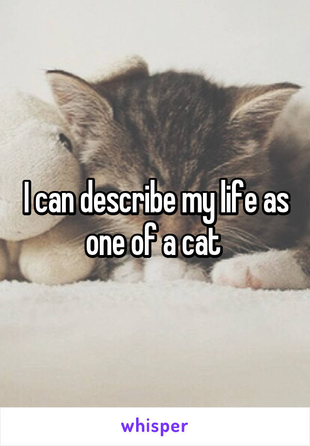 I can describe my life as one of a cat 