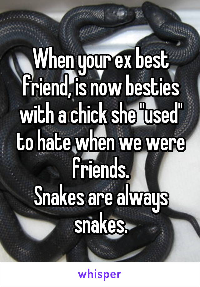 When your ex best friend, is now besties with a chick she "used" to hate when we were friends.
Snakes are always snakes.