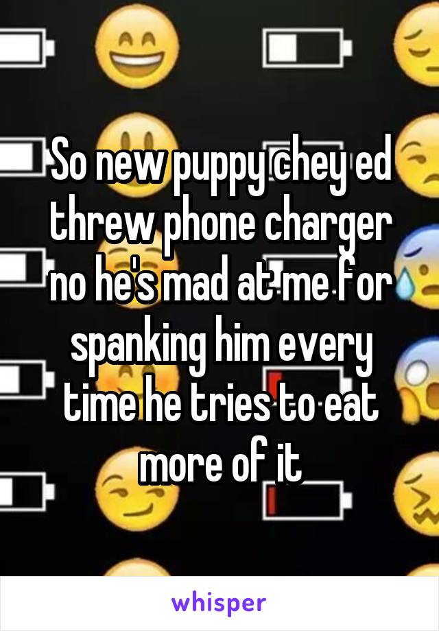 So new puppy chey ed threw phone charger no he's mad at me for spanking him every time he tries to eat more of it