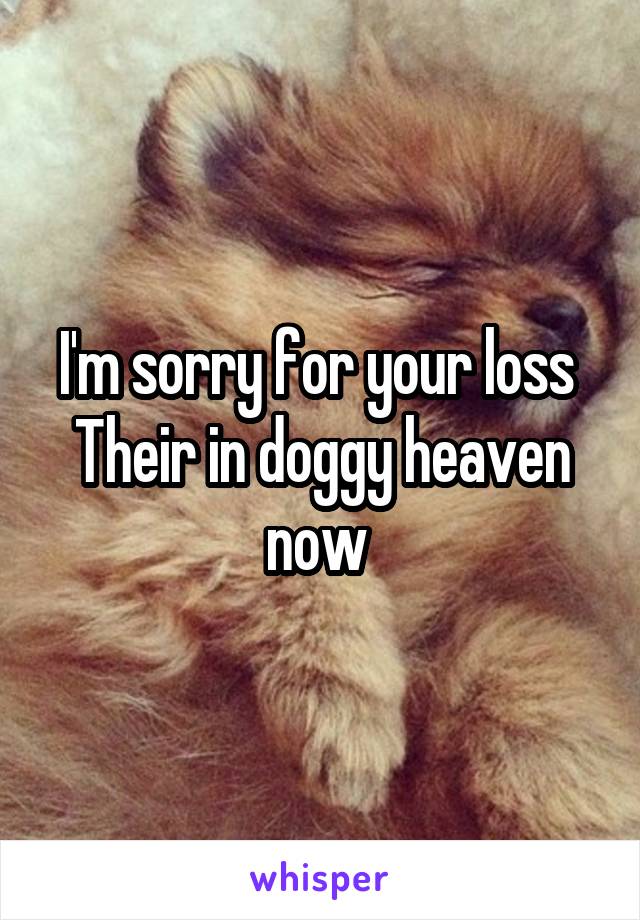 I'm sorry for your loss 
Their in doggy heaven now 