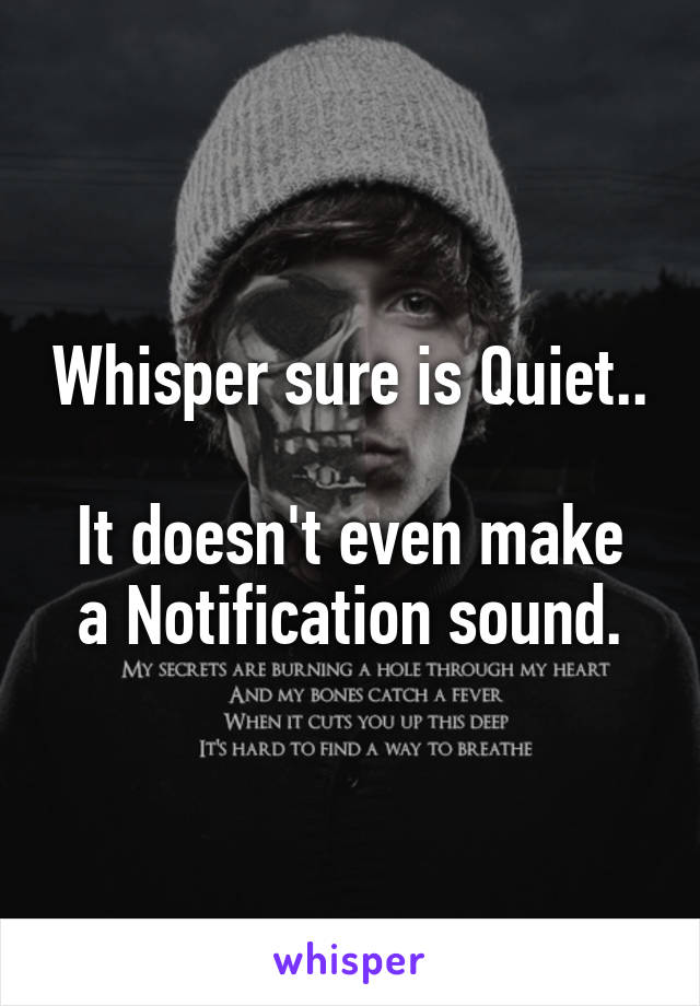 Whisper sure is Quiet..

It doesn't even make a Notification sound.