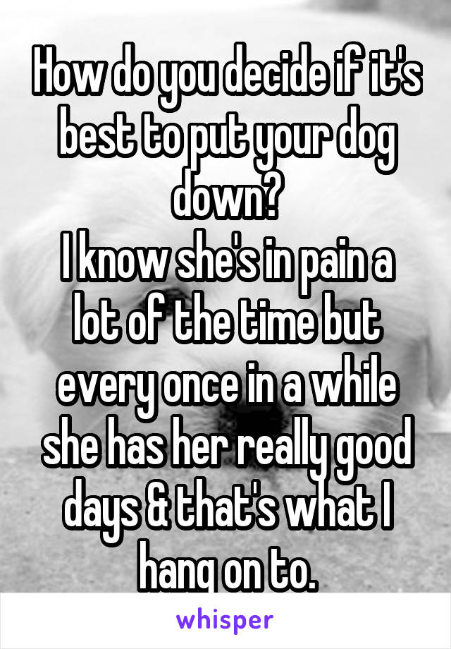 How do you decide if it's best to put your dog down?
I know she's in pain a lot of the time but every once in a while she has her really good days & that's what I hang on to.