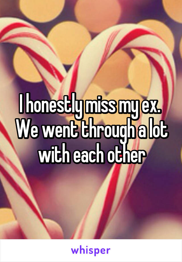 I honestly miss my ex.  We went through a lot with each other