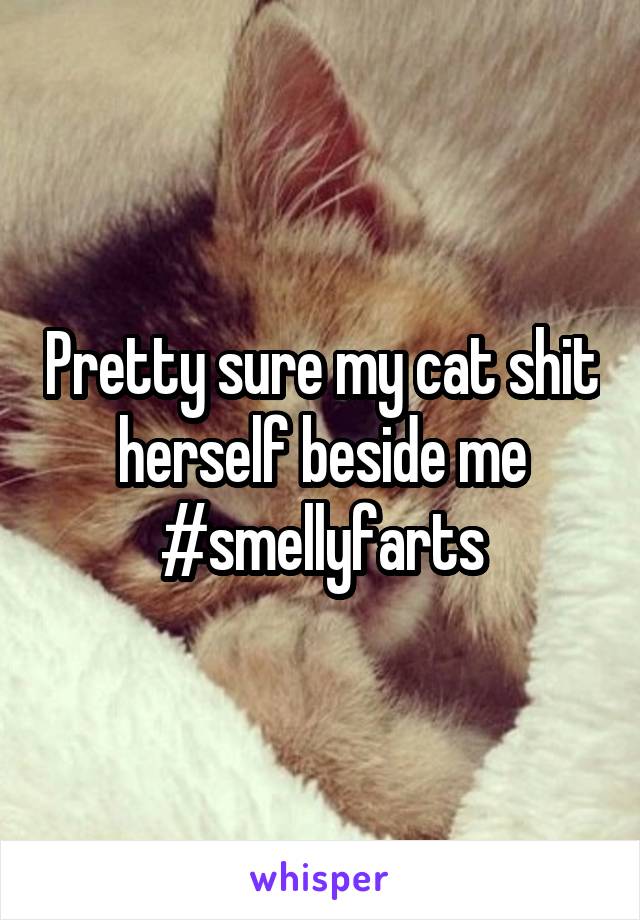 Pretty sure my cat shit herself beside me #smellyfarts