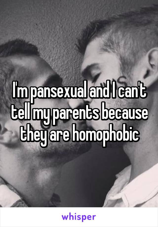 I'm pansexual and I can't tell my parents because they are homophobic