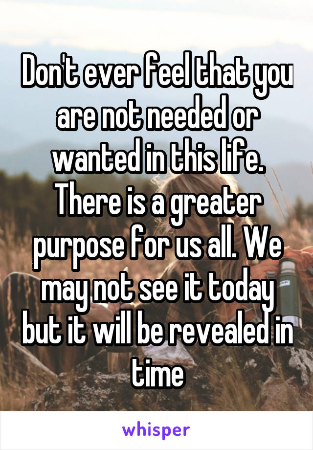 Don't ever feel that you are not needed or wanted in this life. There is a greater purpose for us all. We may not see it today but it will be revealed in time