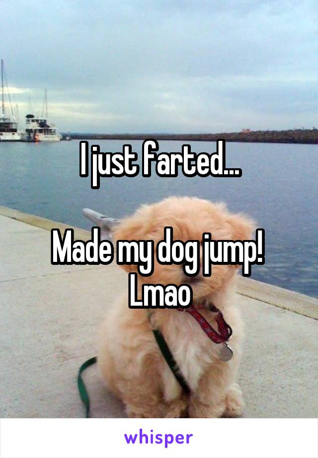 I just farted...

Made my dog jump! 
Lmao